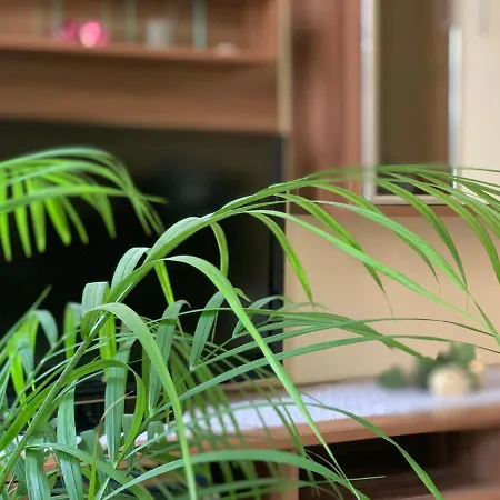 In Der Altstadt Von شقة