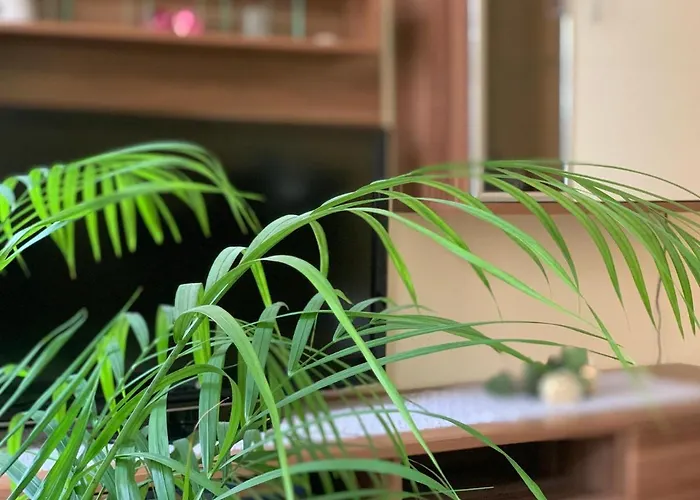 In Der Altstadt Von Appartement